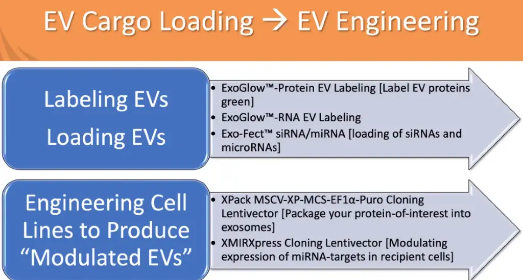 Exo-Fect Exosome Transfection Kit