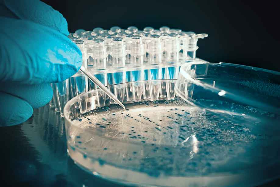 96-Well Cell Culture Plate Treated PS,