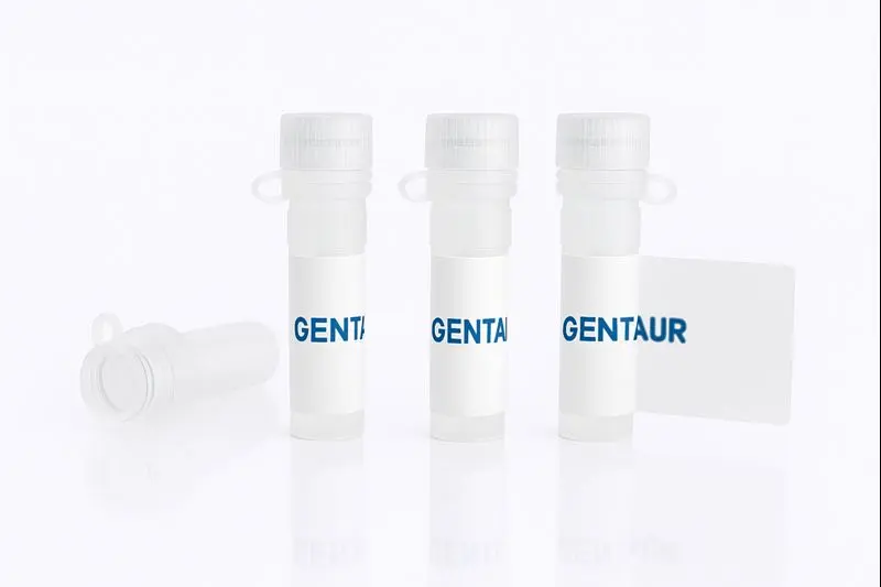 BDNF, Human (R125A, R127A, R128A, solution)