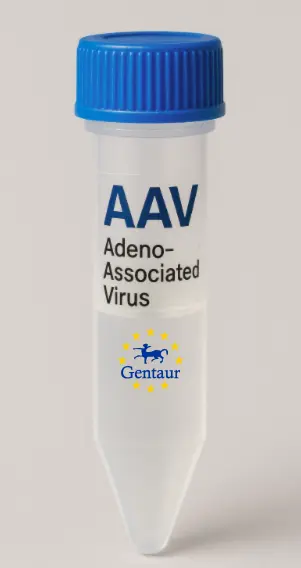 BCAR3 AAV Vector (Rat) (CMV)