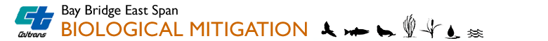 Biomitigation